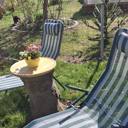 Ferienwohnung Rosengarten บัลเลนชเตดท์ ภายนอก รูปภาพ